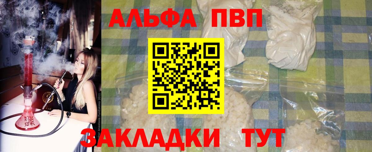 A PVP СК Бердск