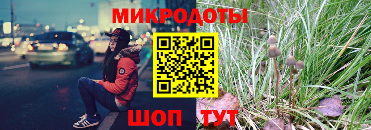 Галлюциногенные грибы GOLDEN TEACHER  Вход с VPN  Бердск 